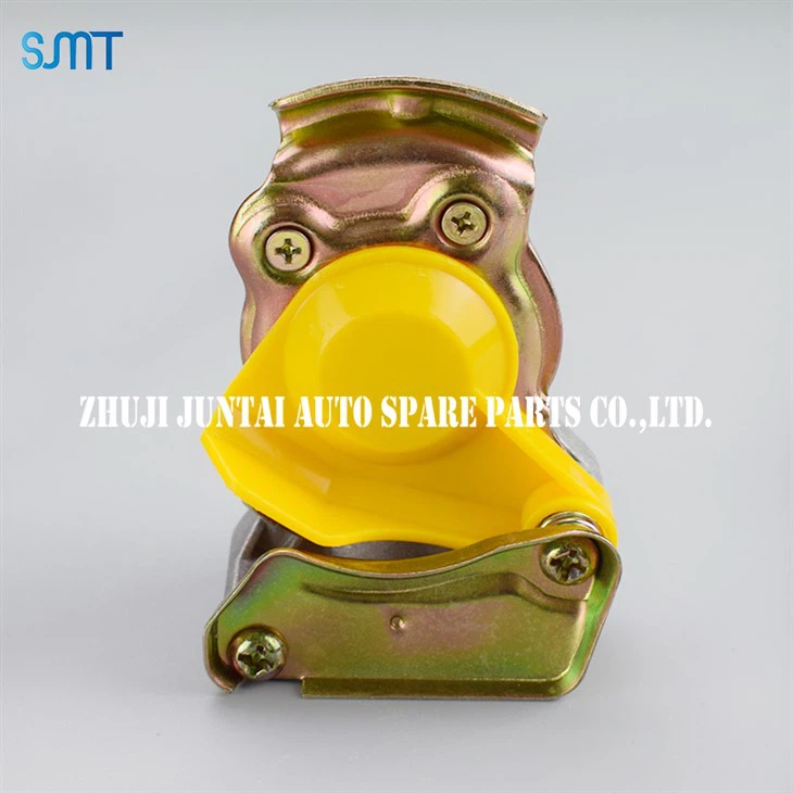 Caws cov taub hau coupling